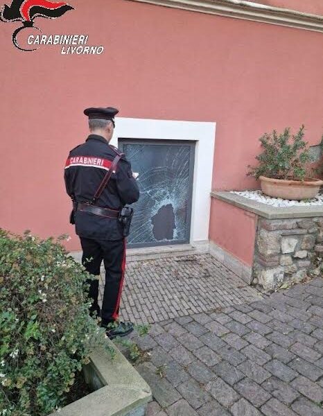 FONTE IMMAGINE: CARABINIERI COMANDO PROVINCIALE DI LIVORNO