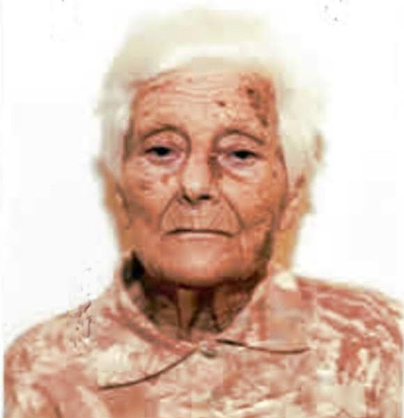 Fonte immagine: Comune di Livorno