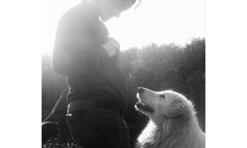 Fonte Comune di Livorno