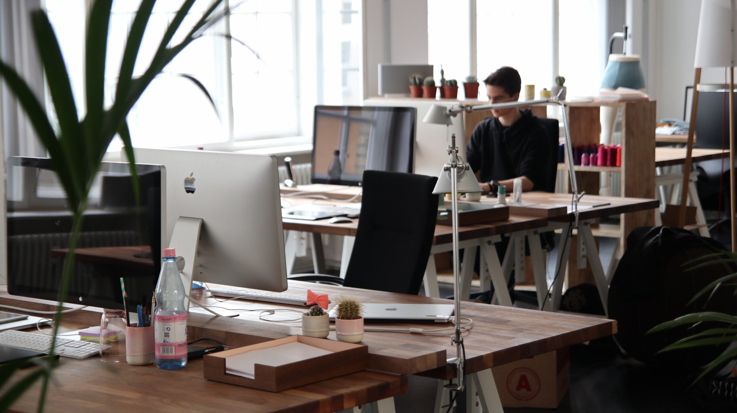 5 strategie per trovare il lavoro dei tuoi sogni: come ottenere il massimo dalla tua ricerca