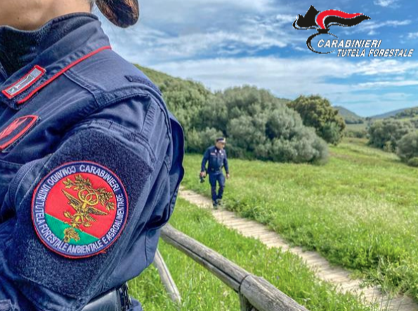 FONTE NOTIZIA: COMANDO PROVINCIALE CARABINIERI DI LIVORNO