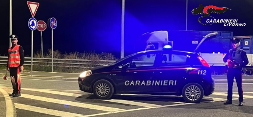 FONTE: COMANDO PROVINCIALE CARABINIERI DI LIVORNO