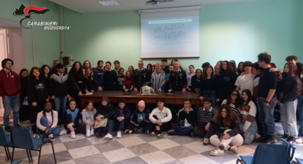 Fonte comando provinciale carabinieri di livorno