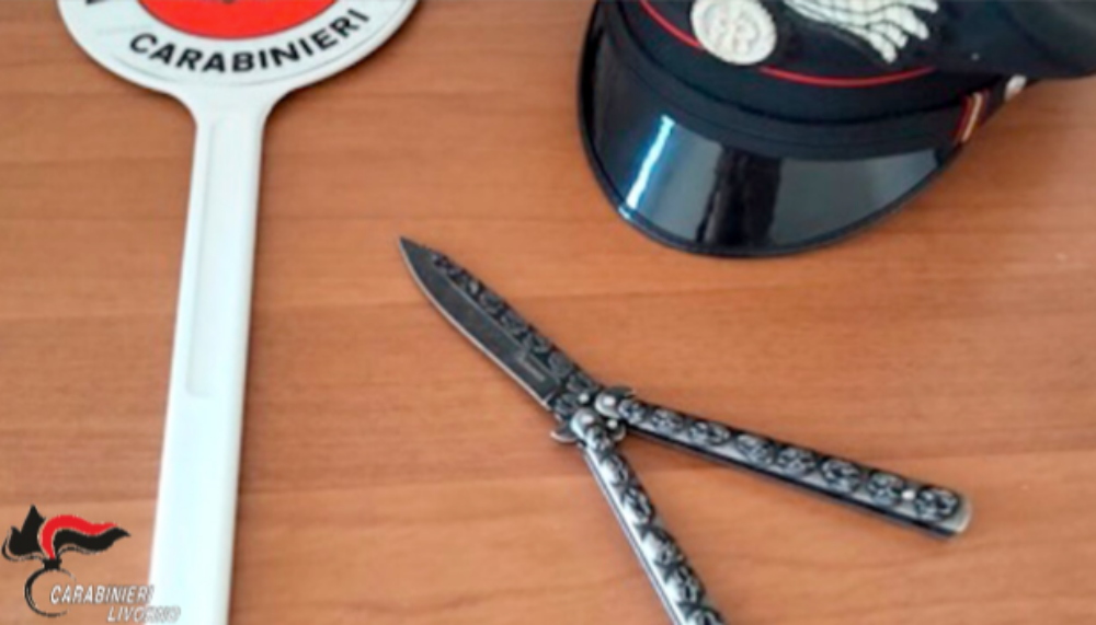 FONTE: COMANDO PROVINCIALE CARABINIERI DI LIVORNO