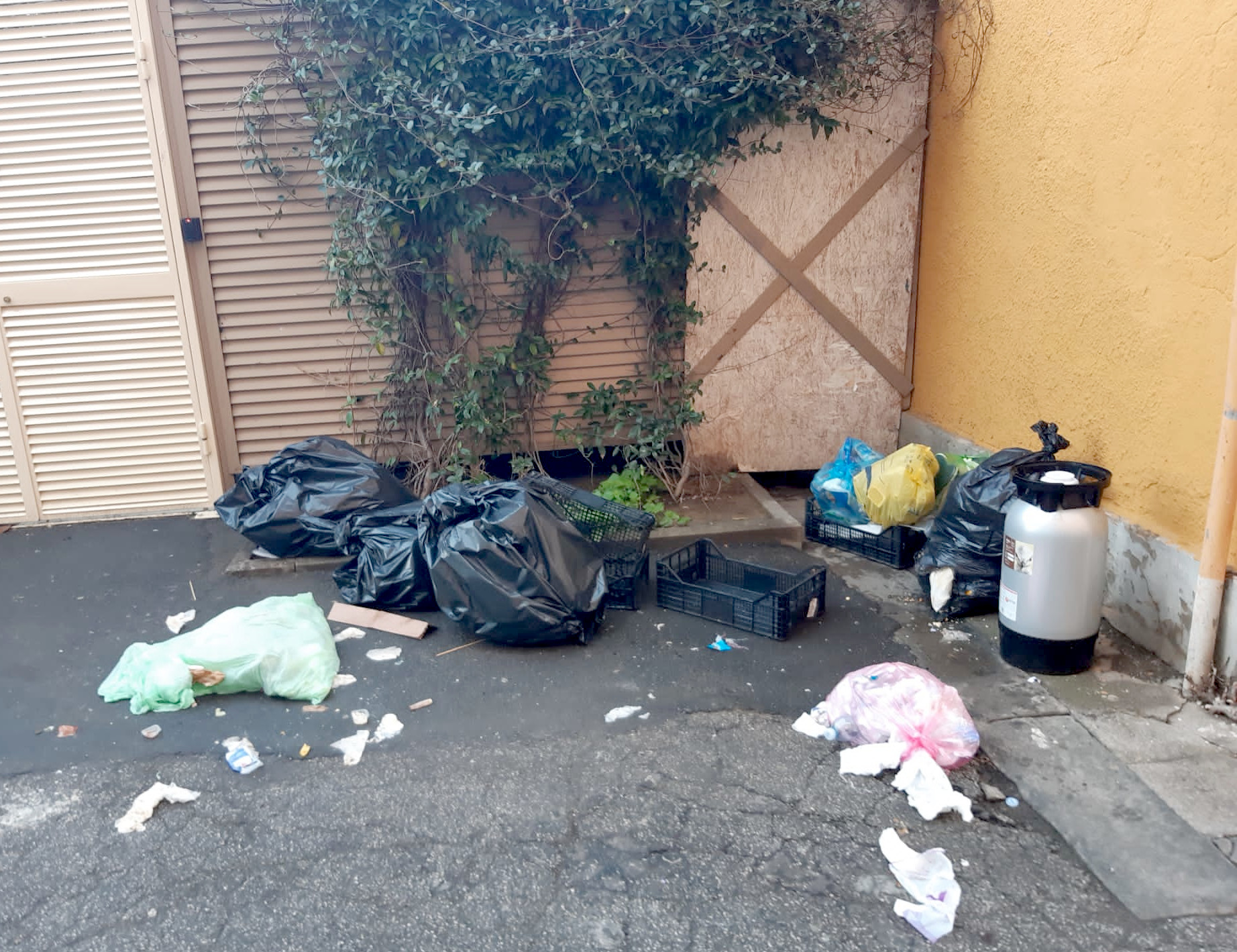 Fonte immagine: Comune di Livorno