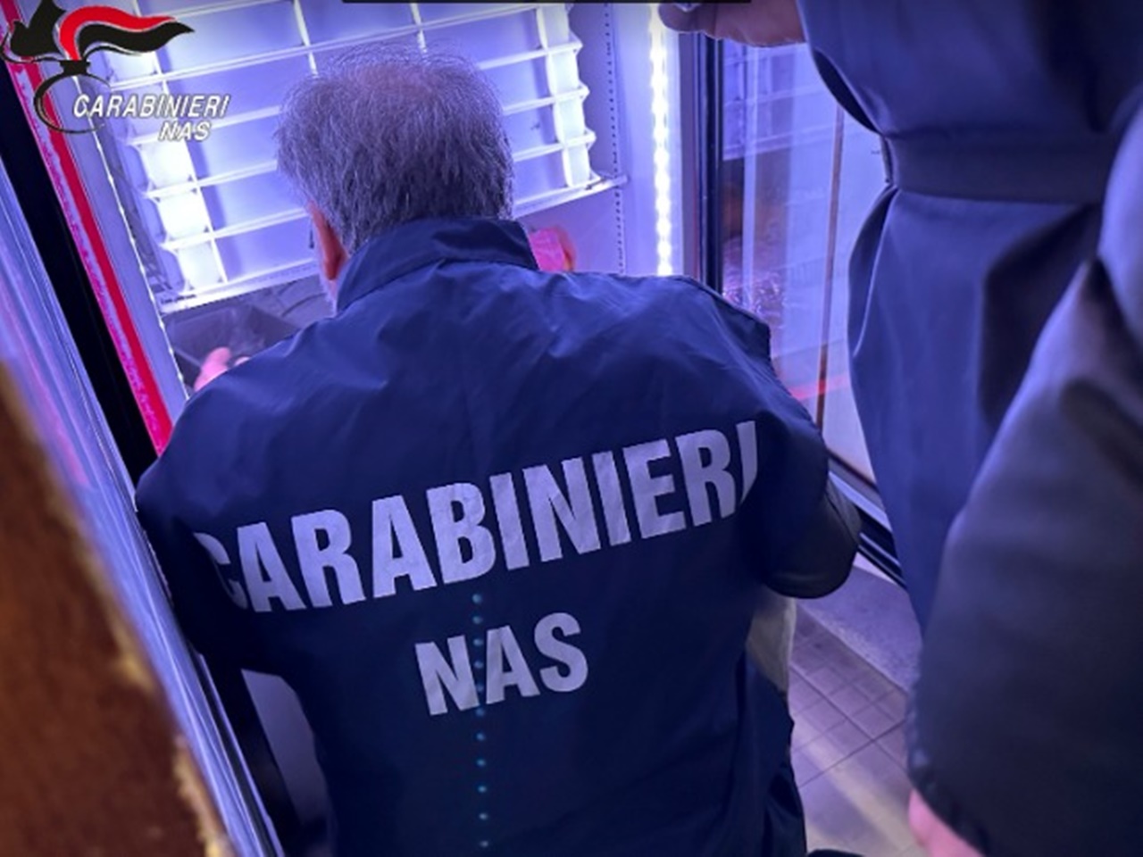 Carabinieri Nas (immagine di repertorio)