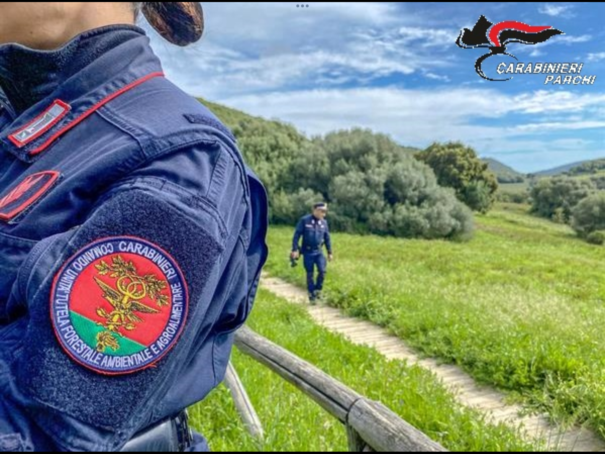 Carabinieri parchi