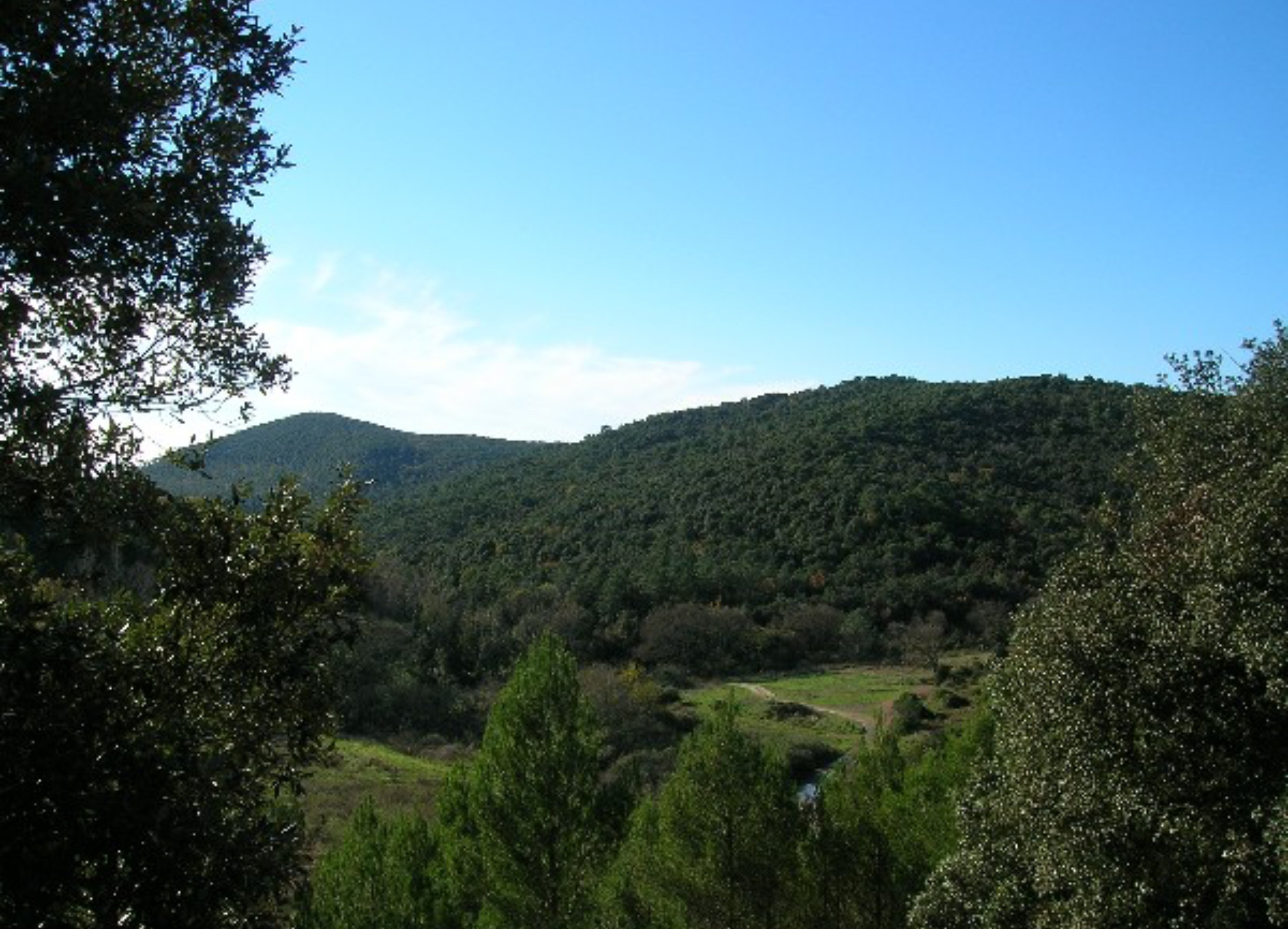 Immagine tratta da Toscana Notizie