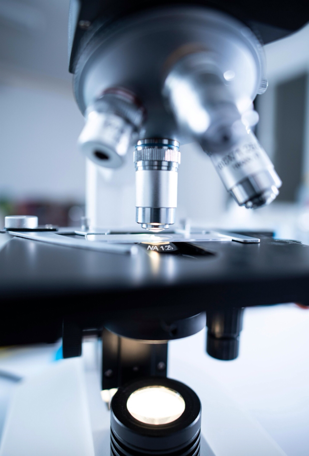 Foto di Chokniti Khongchum: https://www.pexels.com/it-it/foto/fotografia-di-messa-a-fuoco-poco-profonda-del-microscopio-2280547/