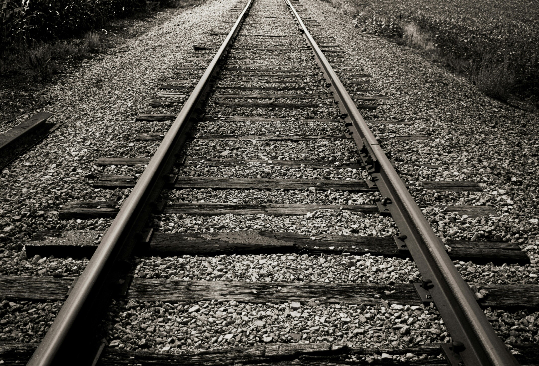 Foto di Justin Lawson: https://www.pexels.com/it-it/foto/scala-di-grigi-della-ferrovia-3668481/