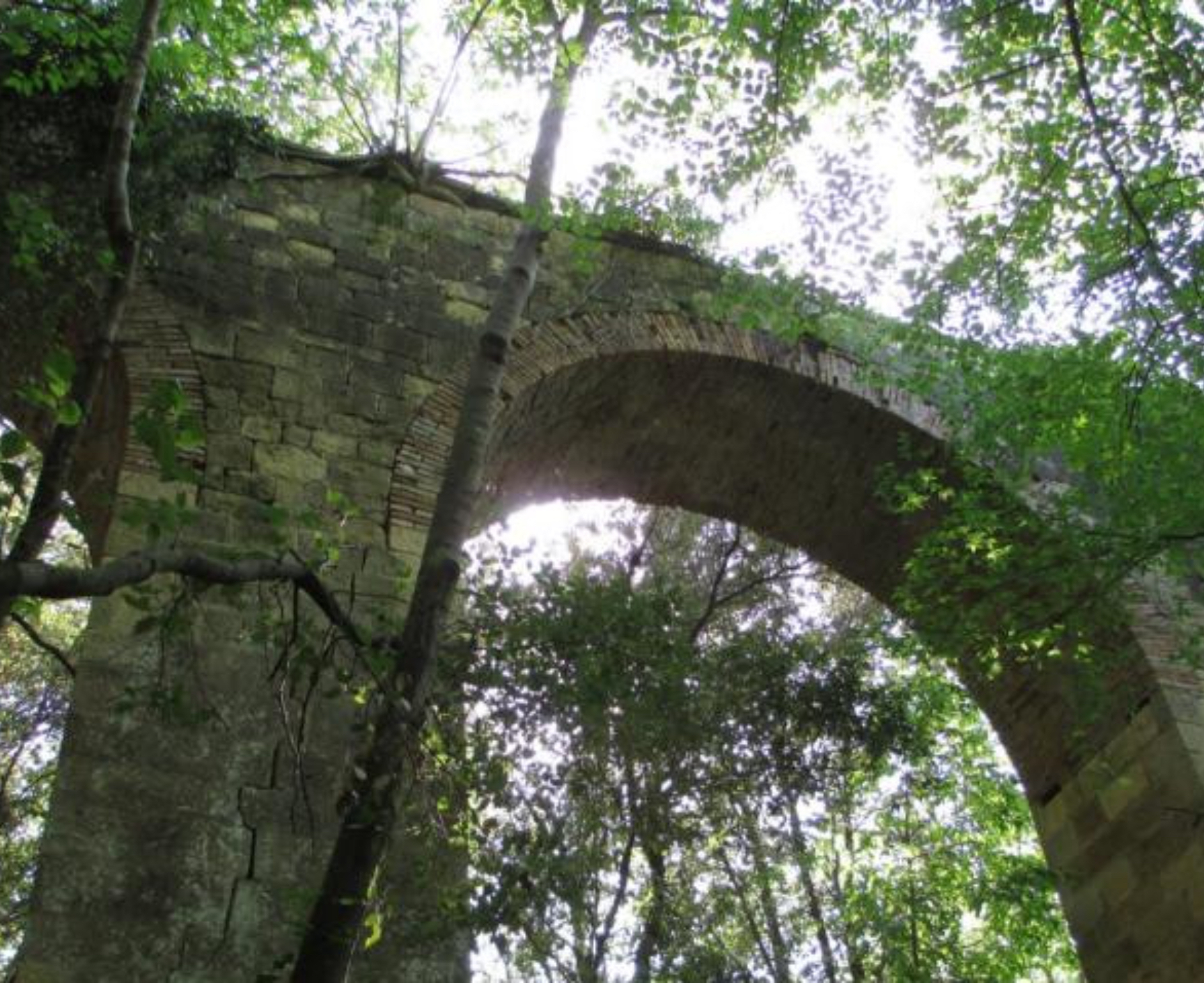 Acquedotto Leopoldino (fonte: Comune di Livorno)