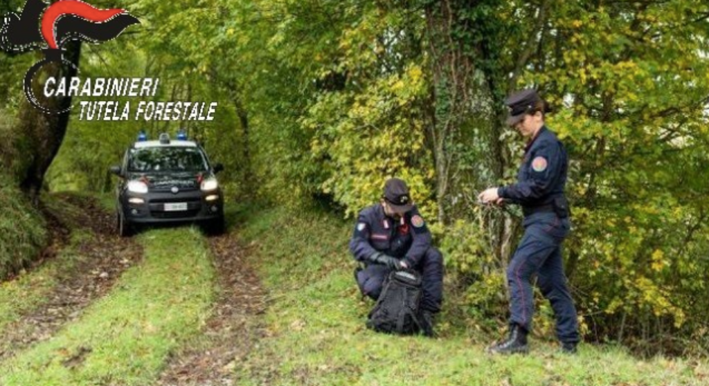 CARABINIERI FORESTALI
