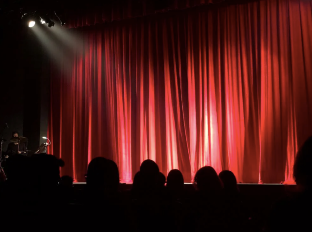 Foto di Monica Silvestre: https://www.pexels.com/it-it/foto/persone-a-teatro-713149/