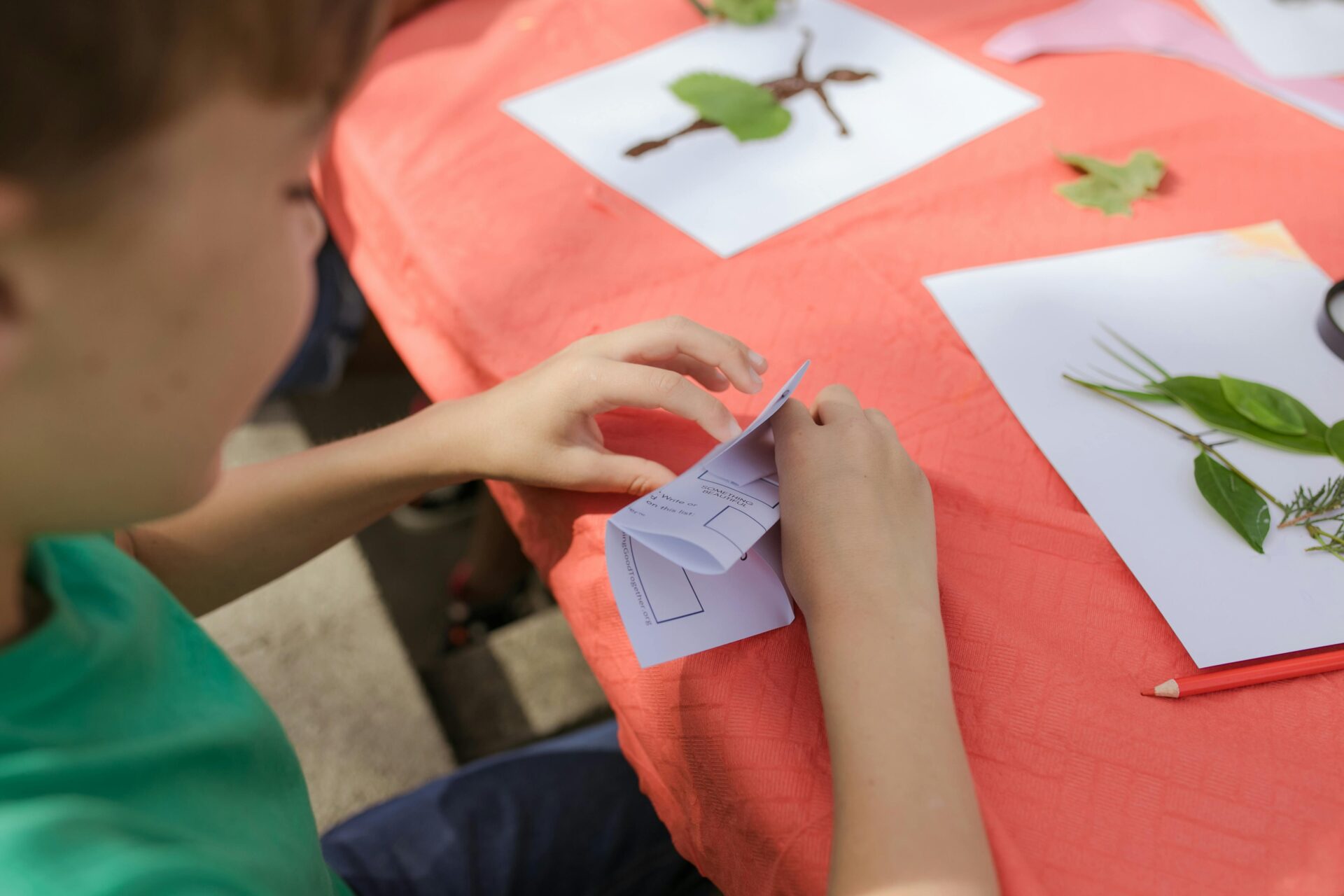Foto di RDNE Stock project: https://www.pexels.com/it-it/foto/natura-rosso-mani-arte-8033967/
