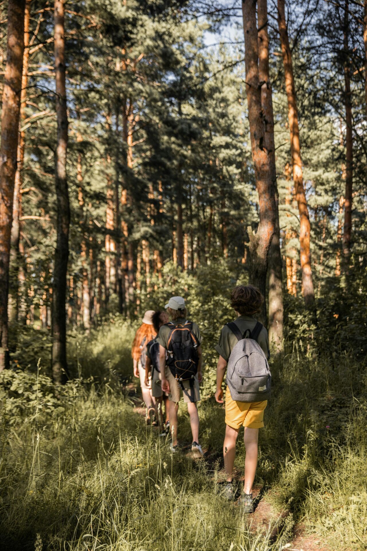 Foto di KATRIN BOLOVTSOVA: https://www.pexels.com/it-it/foto/vacanza-persone-camminando-foresta-5036668/