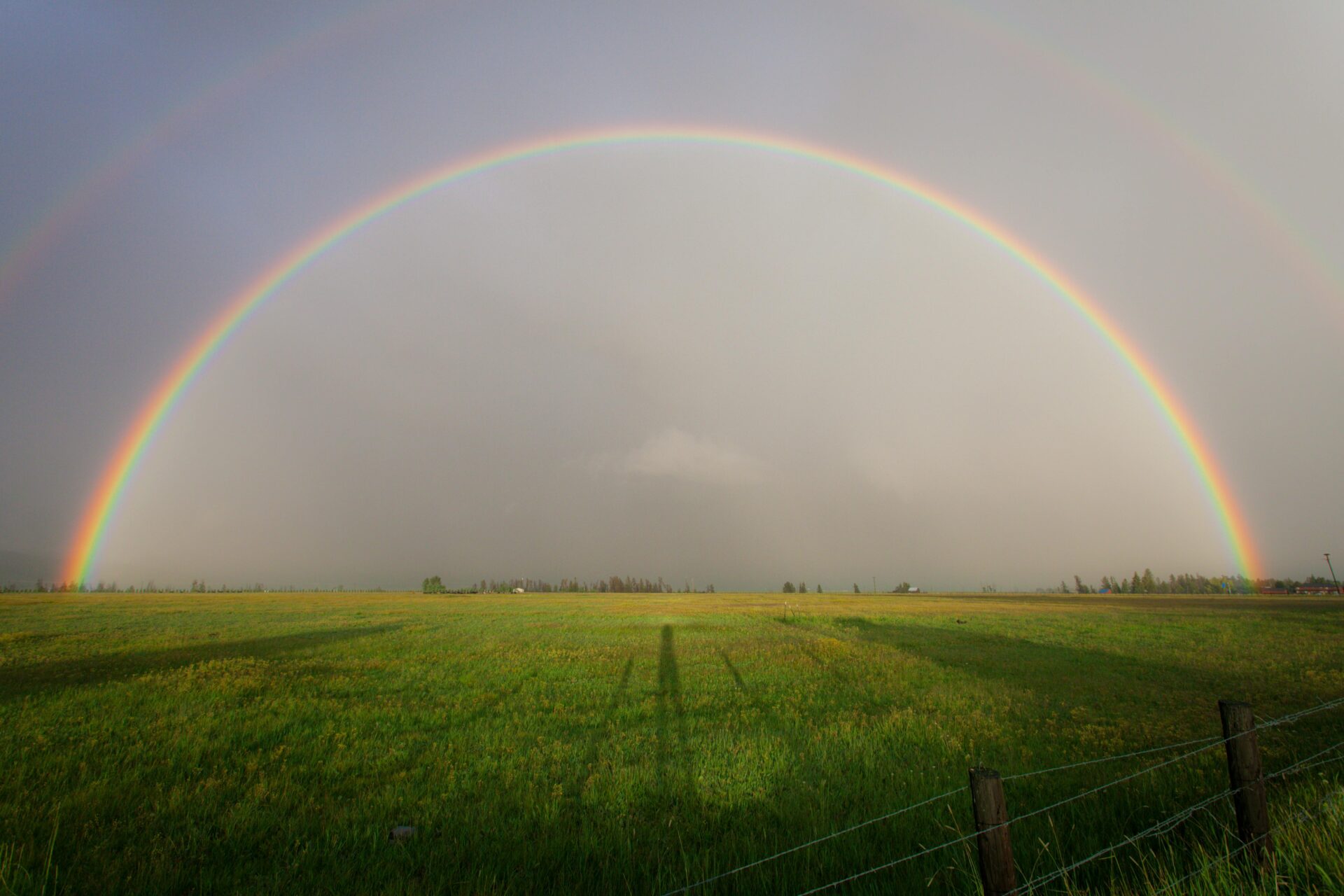 Foto di Binyamin Mellish: https://www.pexels.com/it-it/foto/arcobaleno-sul-campo-in-erba-108941/