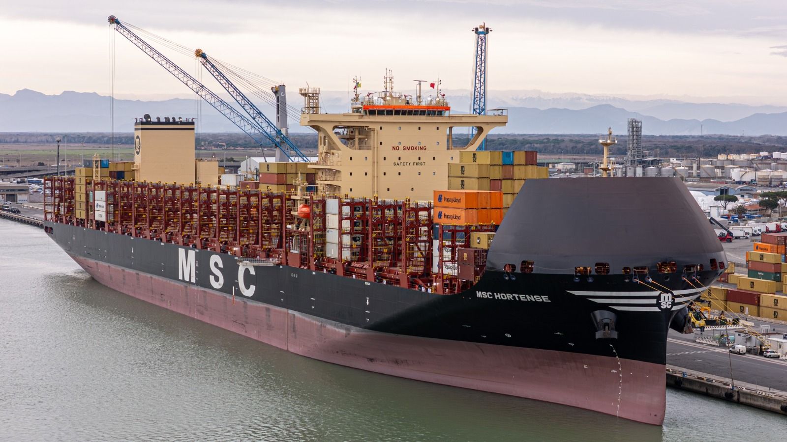 La MSC Hortense in Darsena Est