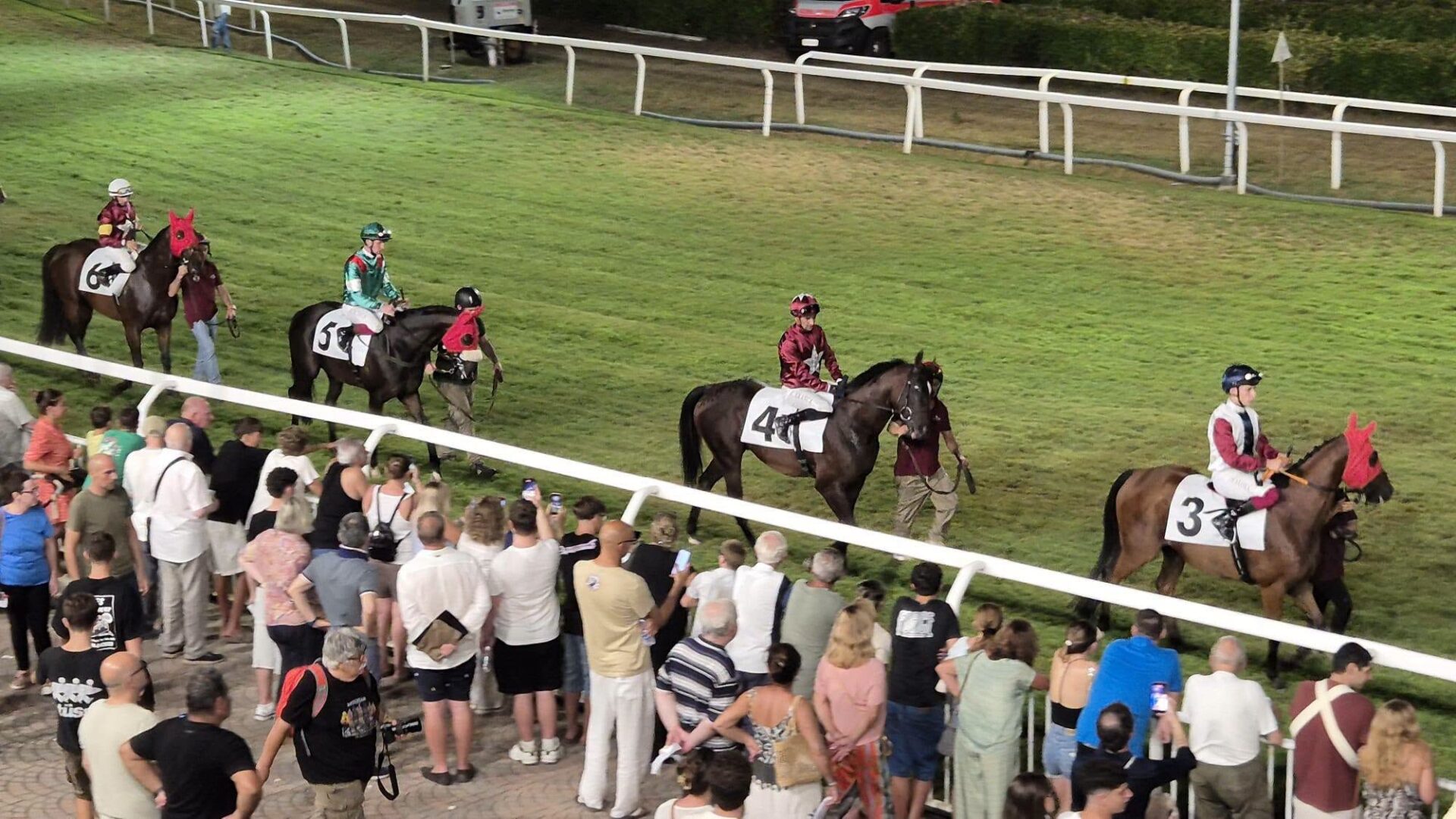 Cavalli in corsa all'Ippodromo Caprilli di Livorno durante una giornata di gare.