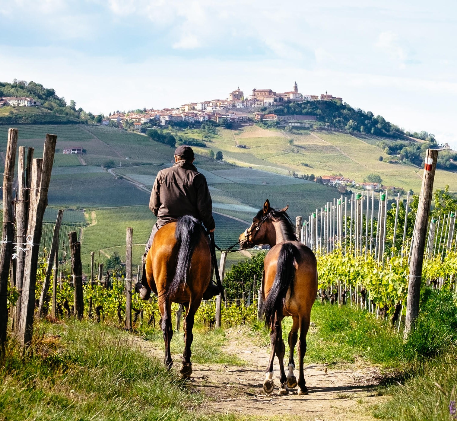 Cavallo in un paesaggio rurale toscano con colline e alberi, simbolo del turismo lento e sostenibile.