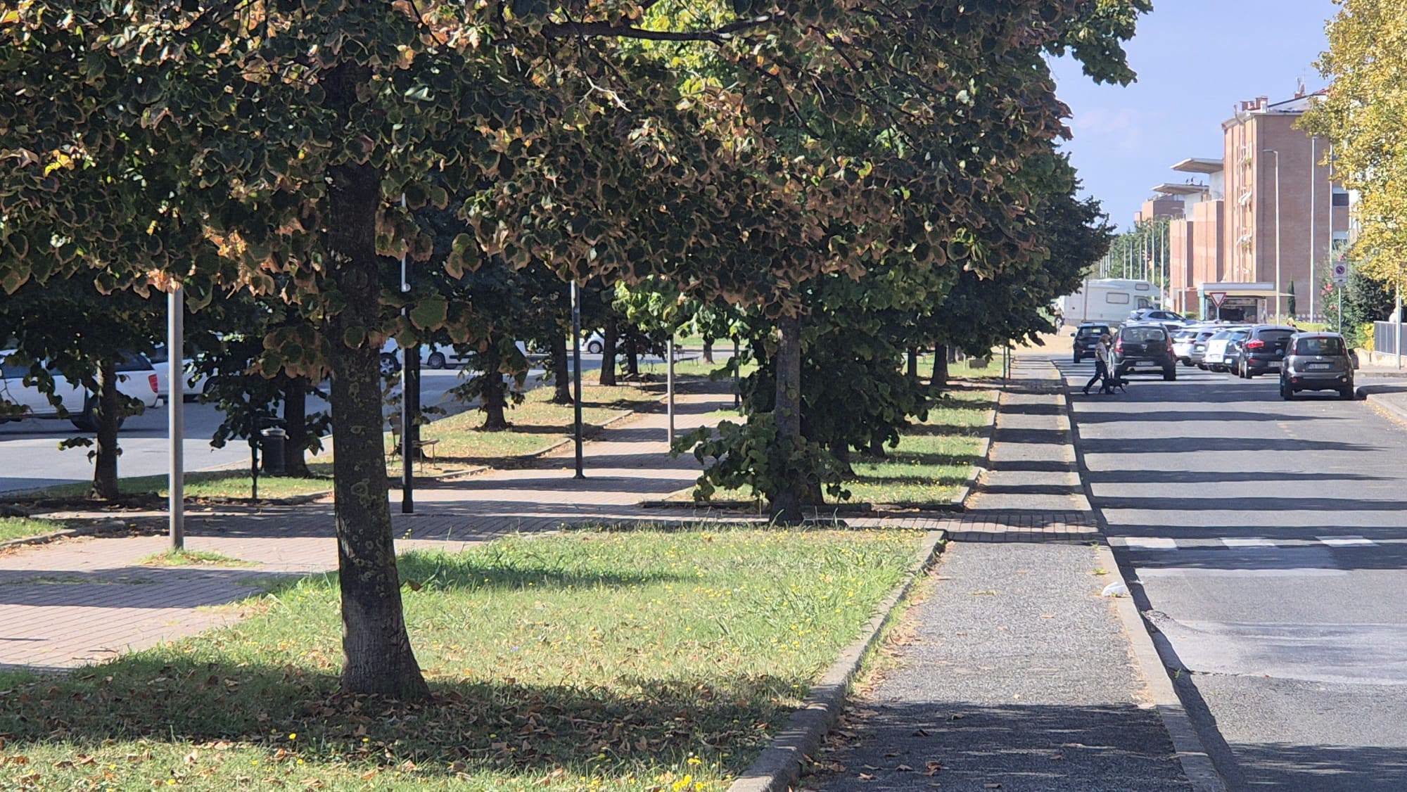 Operazioni di diserbo lungo le strade di Livorno